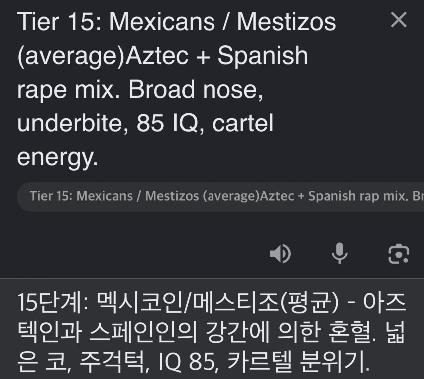 서양 커뮤에서 만든 인종 순위 20단계 (15)
