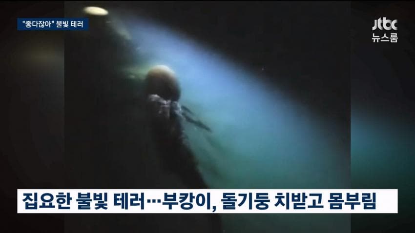 싱글벙글 부캉이 근황 (11)