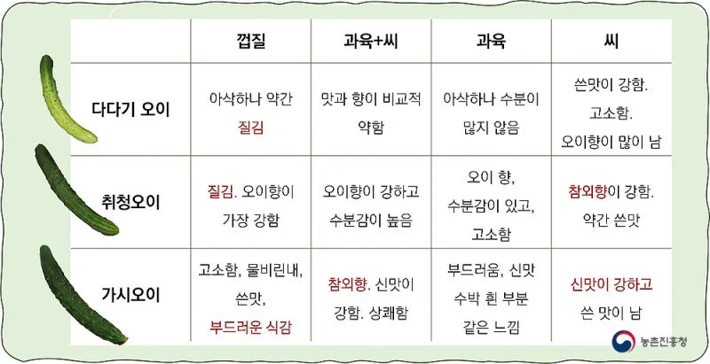 우리나라에서 수도권&충청도 / 전라도 / 경상도&제주도 지역마다 다르다는 채소 (12)