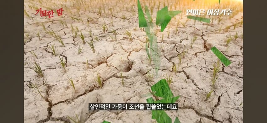 오싹오싹 조선시대 경신대기근으로 인해 발생한 초유의 사태를 알아보자 (5)