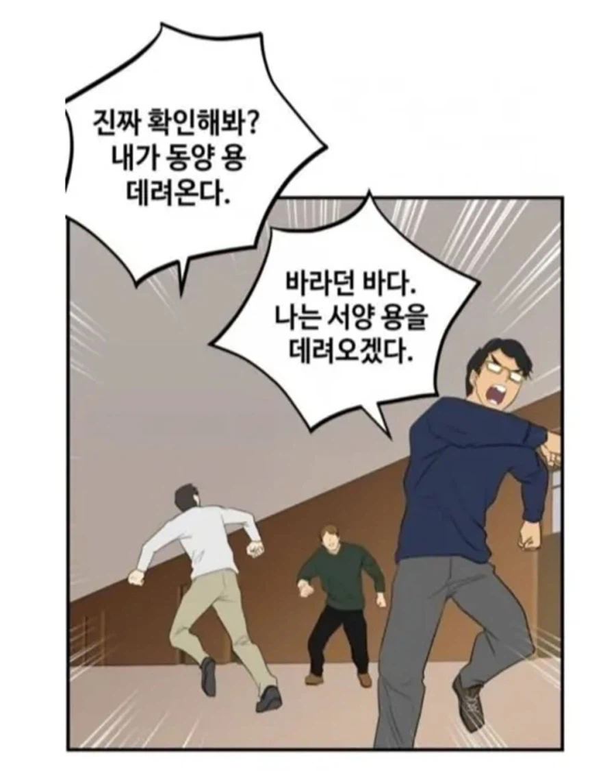 동양 용 vs 서양 용 (2)