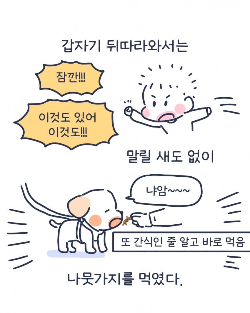 싱글벙글 강아지 산책 중에 만난 초딩.instatoon (4)