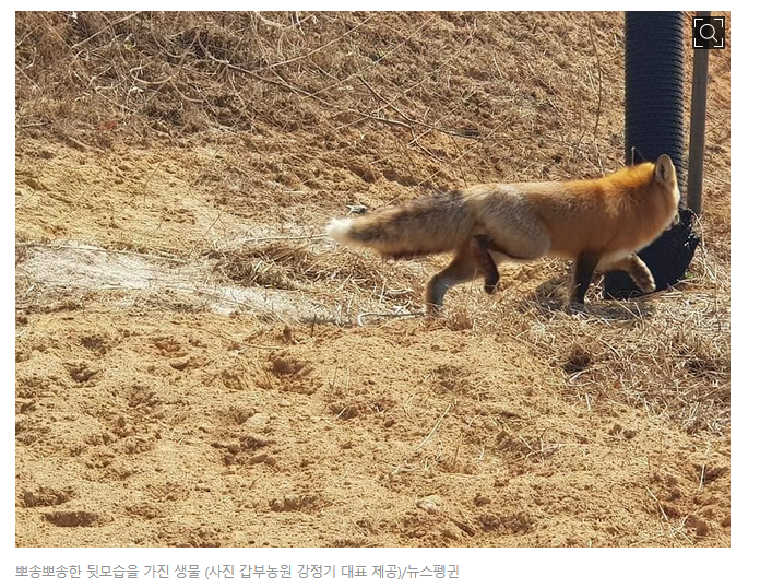 길고양이같은거에 왜그렇게 신경을 써. (2)