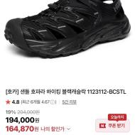 솔리드옴므 백로고, 뉴발x준야와타베, 폴로, 호파...