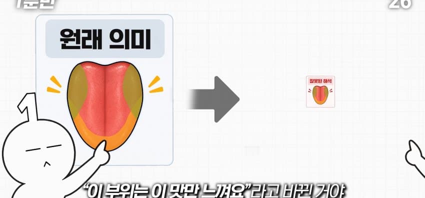 학교에서 배운 '혀 맛' 지도가 잘못됐다..? (23)