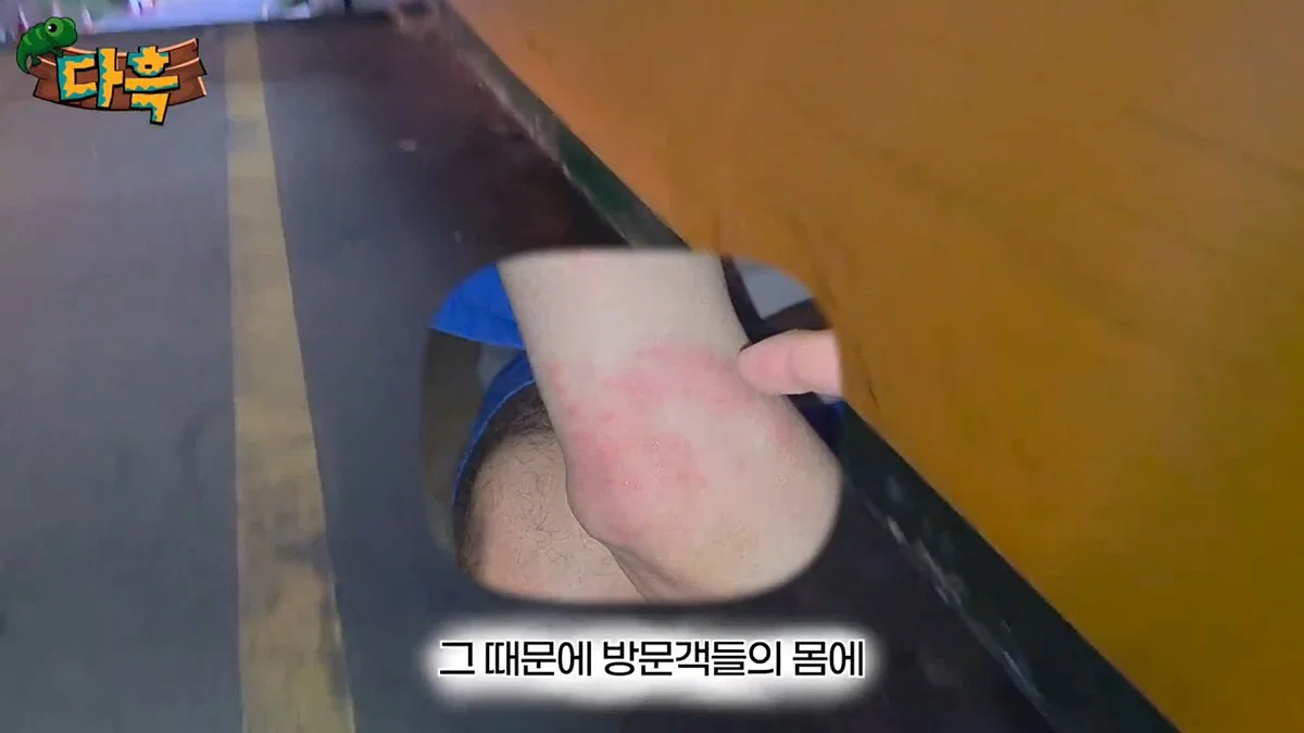부산 찜질방 빈대 이슈 업로드한 유튜버 다흑... (4)