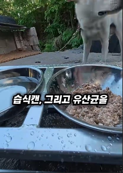 평생 목욕 한번 안 해본 차고지 지킴이 2살 한성이의 생애 첫 목욕대작전 (45)
