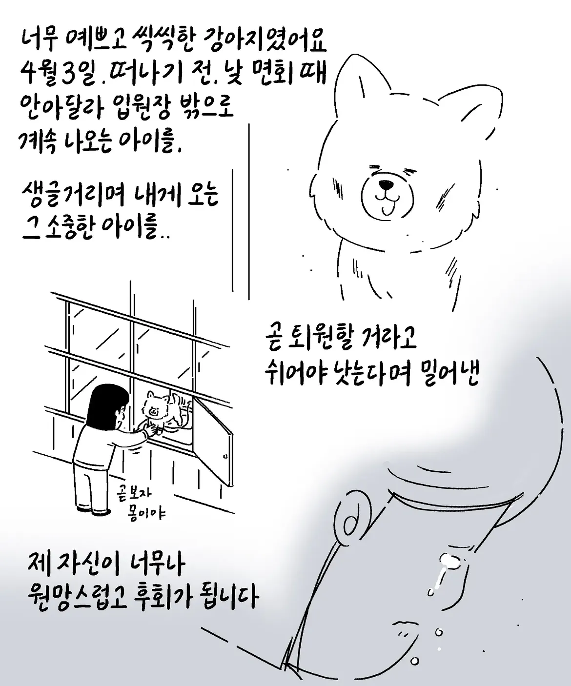 몽이는 처음부터 아픈 아이였어요 (13)