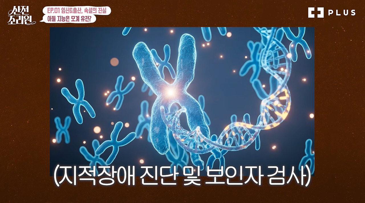 엄마 지능과 아들 지능의 관련성 (10)