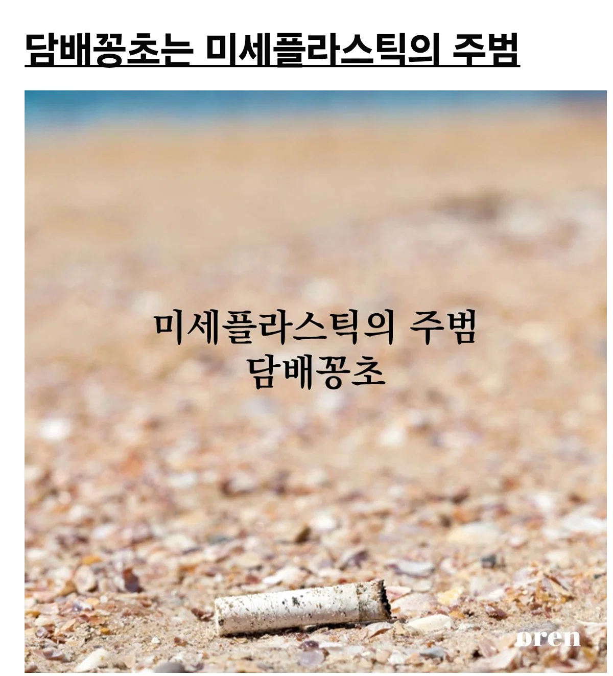 흡연자들이 흡연충이라고 욕먹는 이유 (17)