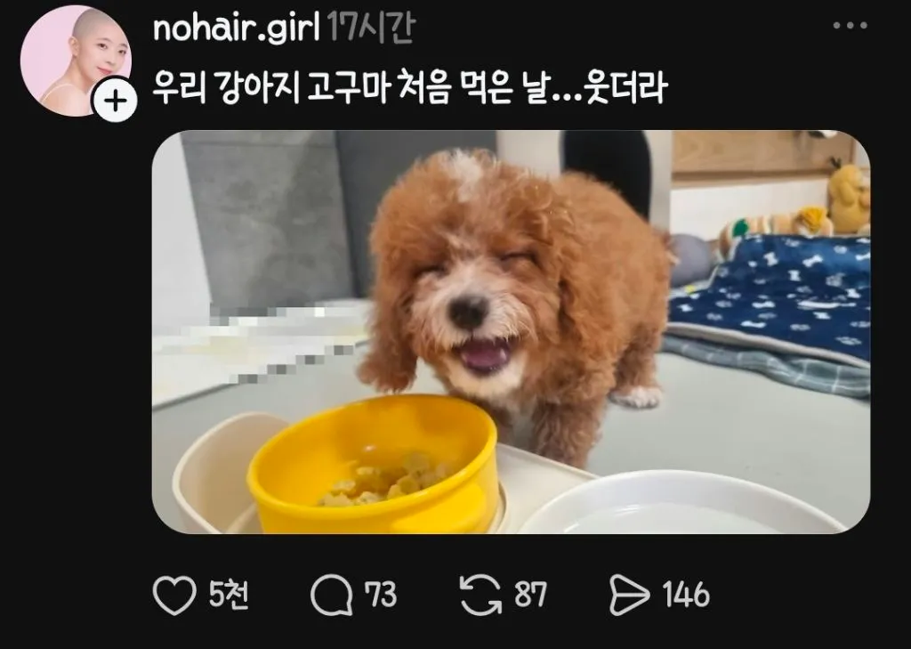 우리 강아지 고구마 처음먹은날...웃더라