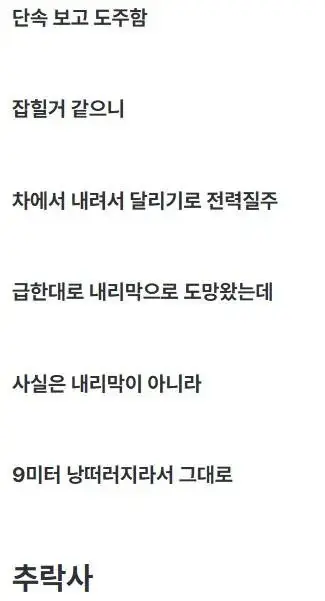 20대 음주 운전자가 사망한 이유 (2)