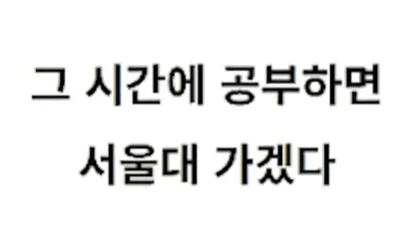 그 시간에 공부하면 서울대 가겠다