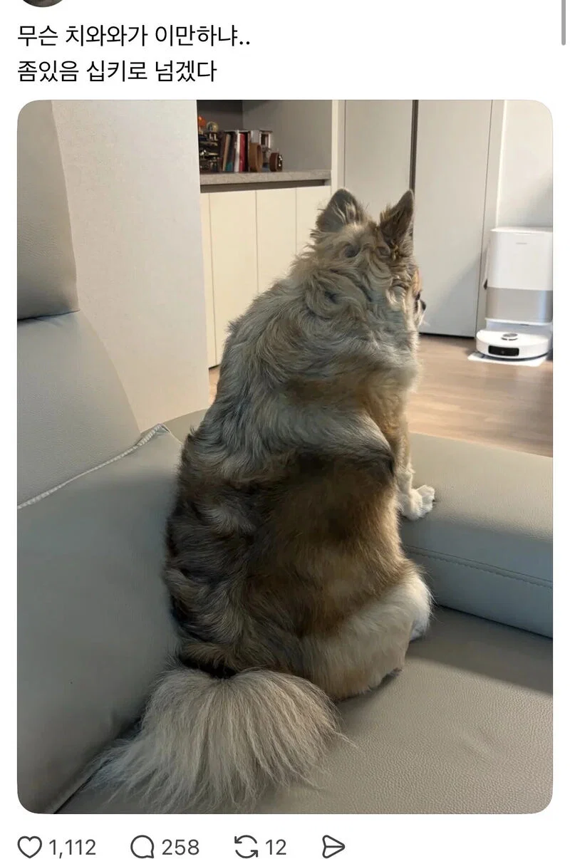 WCxweq