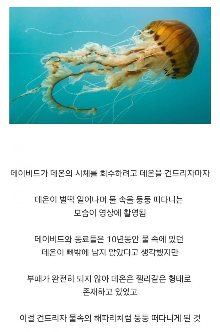 의외로 다이버가 시체를 회수하다가 벌어진 사건 (14)