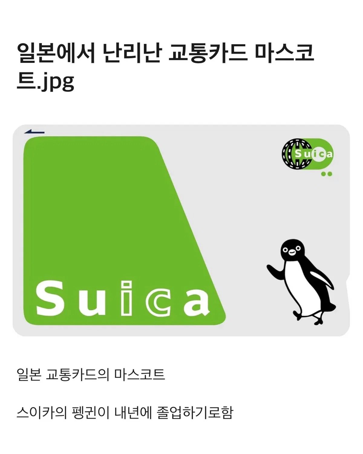 일본에서 난리난 교통카드 마스코트 교체