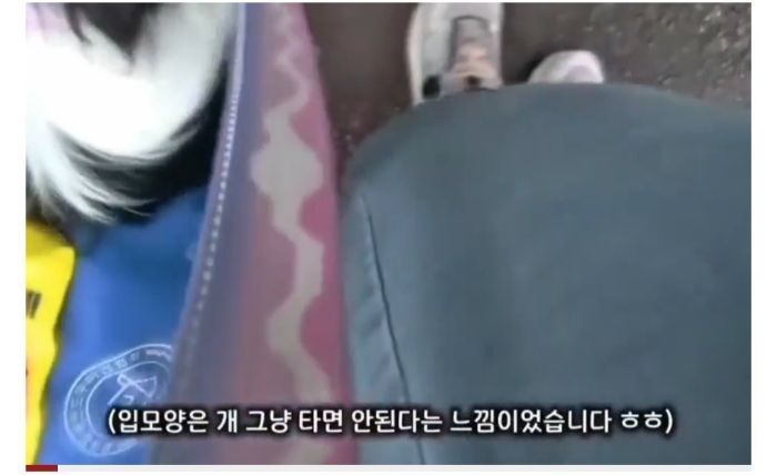 청각장애인 보조견 탑승을 거부한 버스기사님