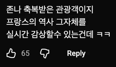 🇫🇷  파리가 불타고 있는데 괜찮은 척해야 하는 관광가이드 (3)