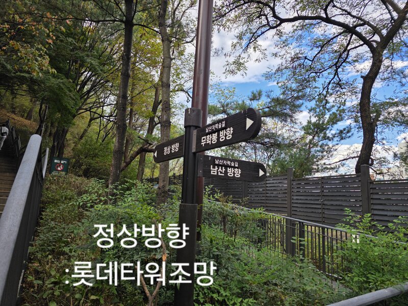 서울에서 남산타워,롯데타워를 볼수있는 공원 (15)