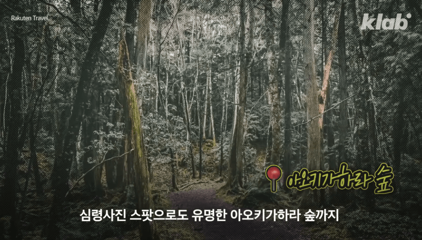 깜짝 .. 일본숲이 유독 무서운 이유 ㄹㅇ . (16)