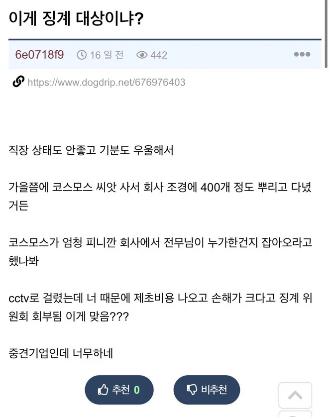 회사에 몰래 코스모스 씨 뿌렸는데 징계 대상이야?? 