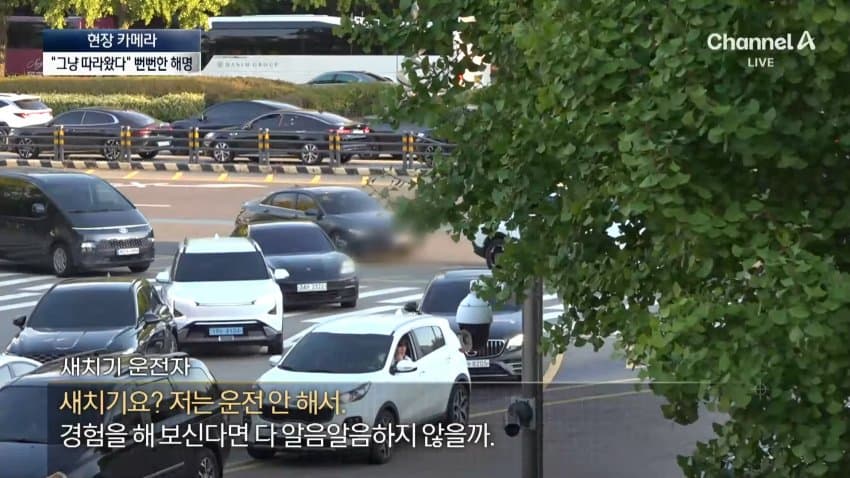 채널a) 차 머리부터 '쑥'..야구장 앞 얌체들 (40)