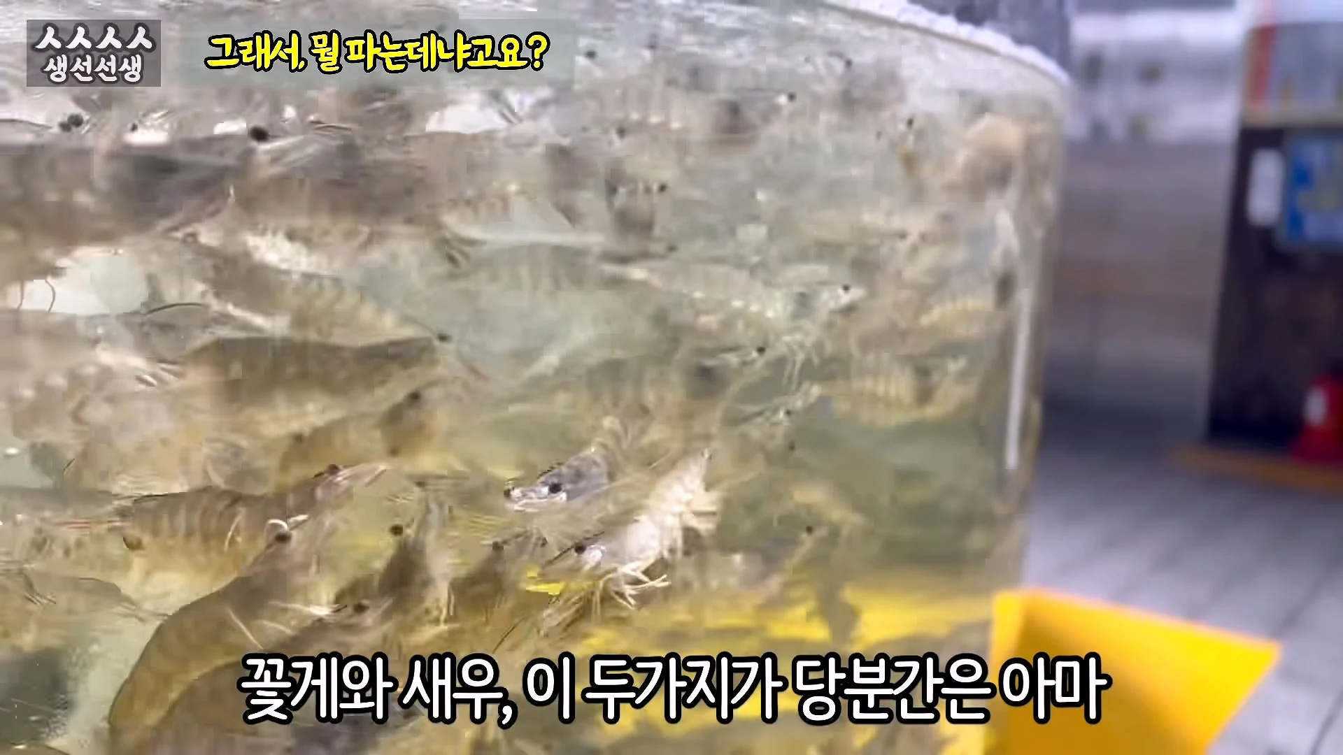 소래포구 상인에게 고소 당했던 20만 유튜버 얼굴 공개 (10)