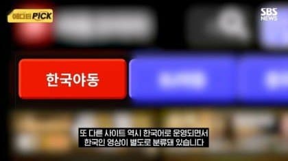 야동사이트 해킹해서 폐쇄하는 방법 고려한다는 경찰 (3)