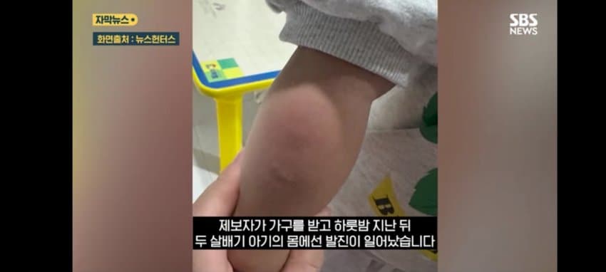 보관이사 맡겼다가 곰팡이, 벌레로 가구 다 망가진 제보자 (14)