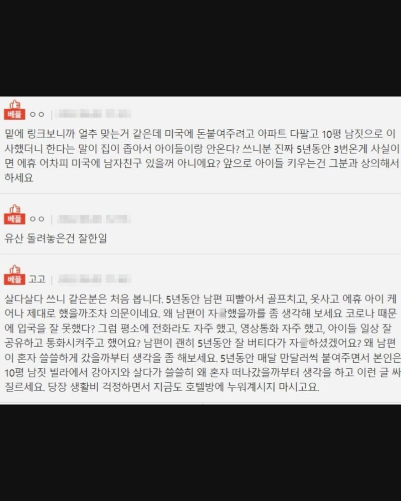 형님이 남편유산을 가로챘어요 (6)