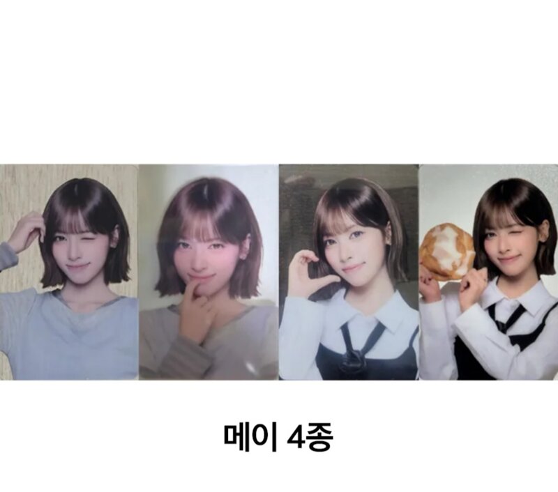 리센느 빵 300개 먹은 팬, 포토카드 도감 27종 공개 (6)