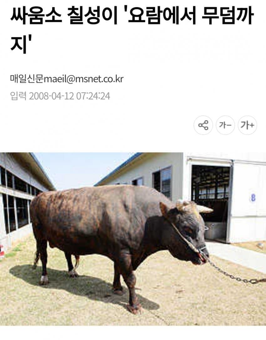 싱글벙글 의외로 동물 복지인거 (2)
