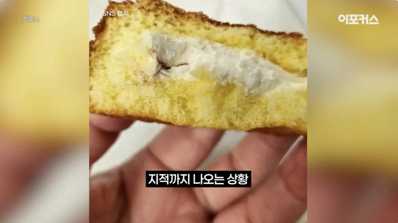 포장지 사진과 너무 달라서 논란이 된 신상 과자. (12)