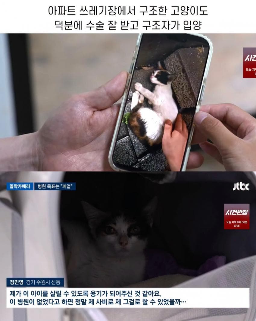 진료비 천 원이라는 동물병원 (6)