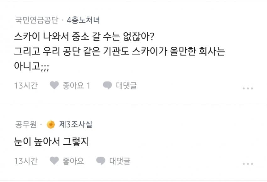 명문대 나오면 취업 잘 된다는 블라인드 (10)