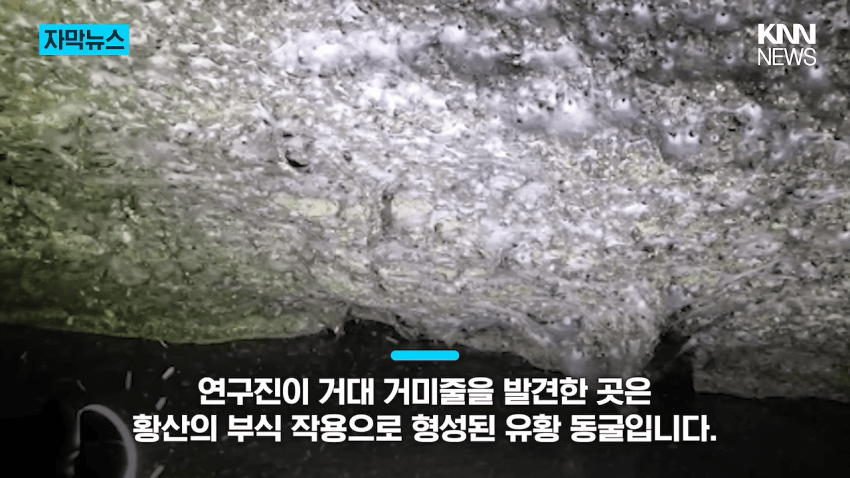 경악 세상에서 제일 큰 거미줄 발견 (10)