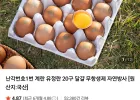 난각번호1번 계란 유정란 20구 달걀