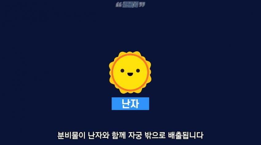 남자들은 잘 모르는 냉 이라는 것에 대하여 (4)