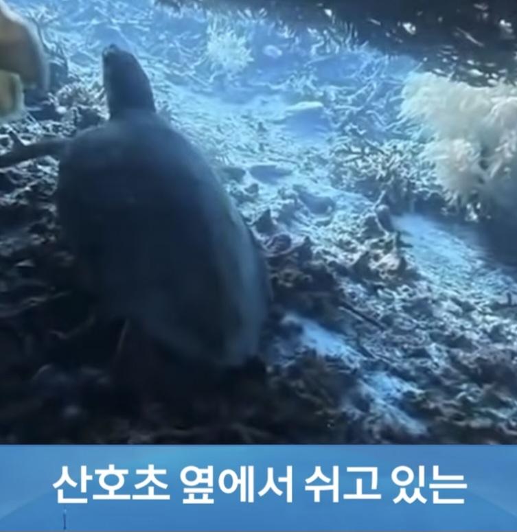 출국직전 체포된 중국인 (2)