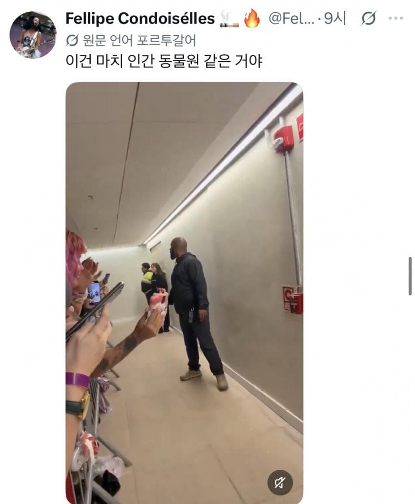 카리나 행동에 난리났다는 브라질 현지반응 (4)