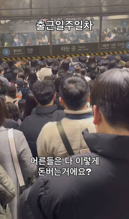 출근 일주일차 직장인 후기.jpg