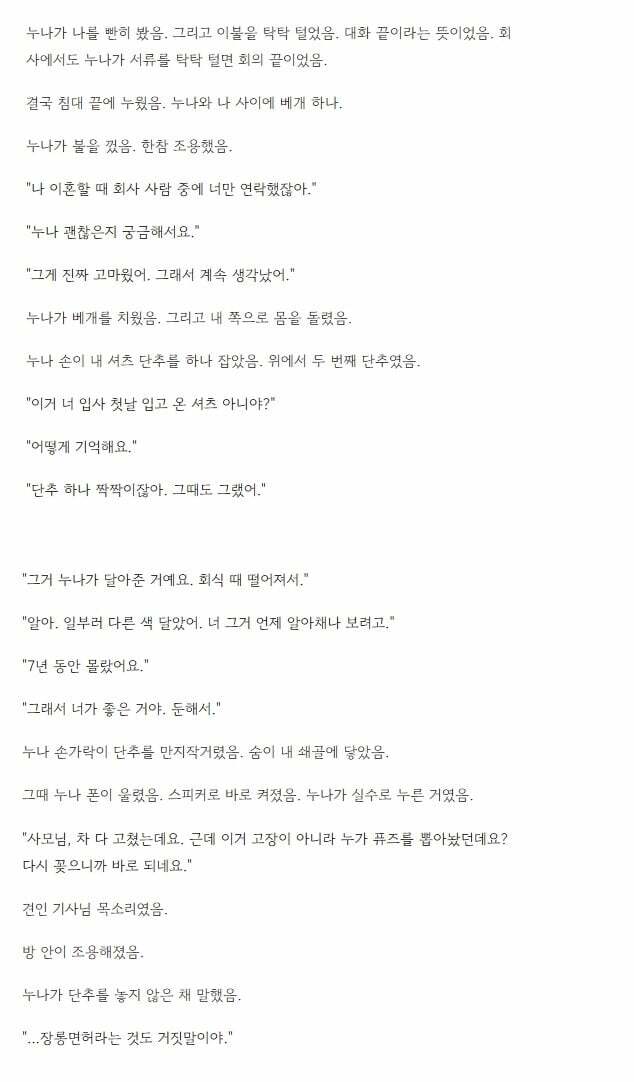 이혼한 누나랑 모텔 간 썰. (4)