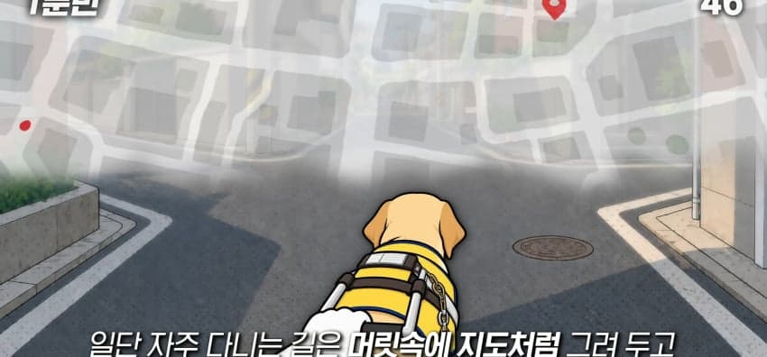 안내견은 목적지를 어떻게 아는 걸까? (9)