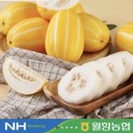 [성주월항농협] 12brix이상 당도선별 성주 꿀 참...