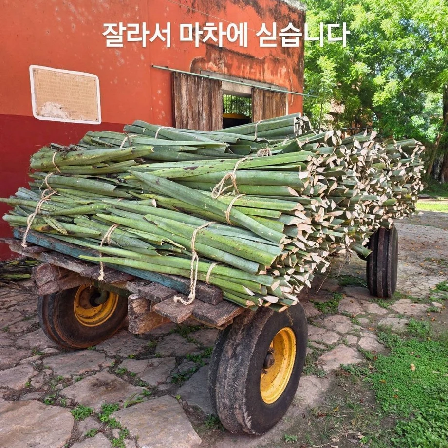우리 선조들이 멕시코에 가서 한 일