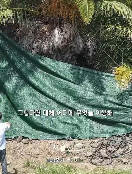 제주실종자가 발견 된 야자수 숲 가는 길을 밤에 직접 가본 기자.. (27)
