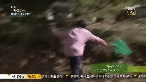 말벌 헌터