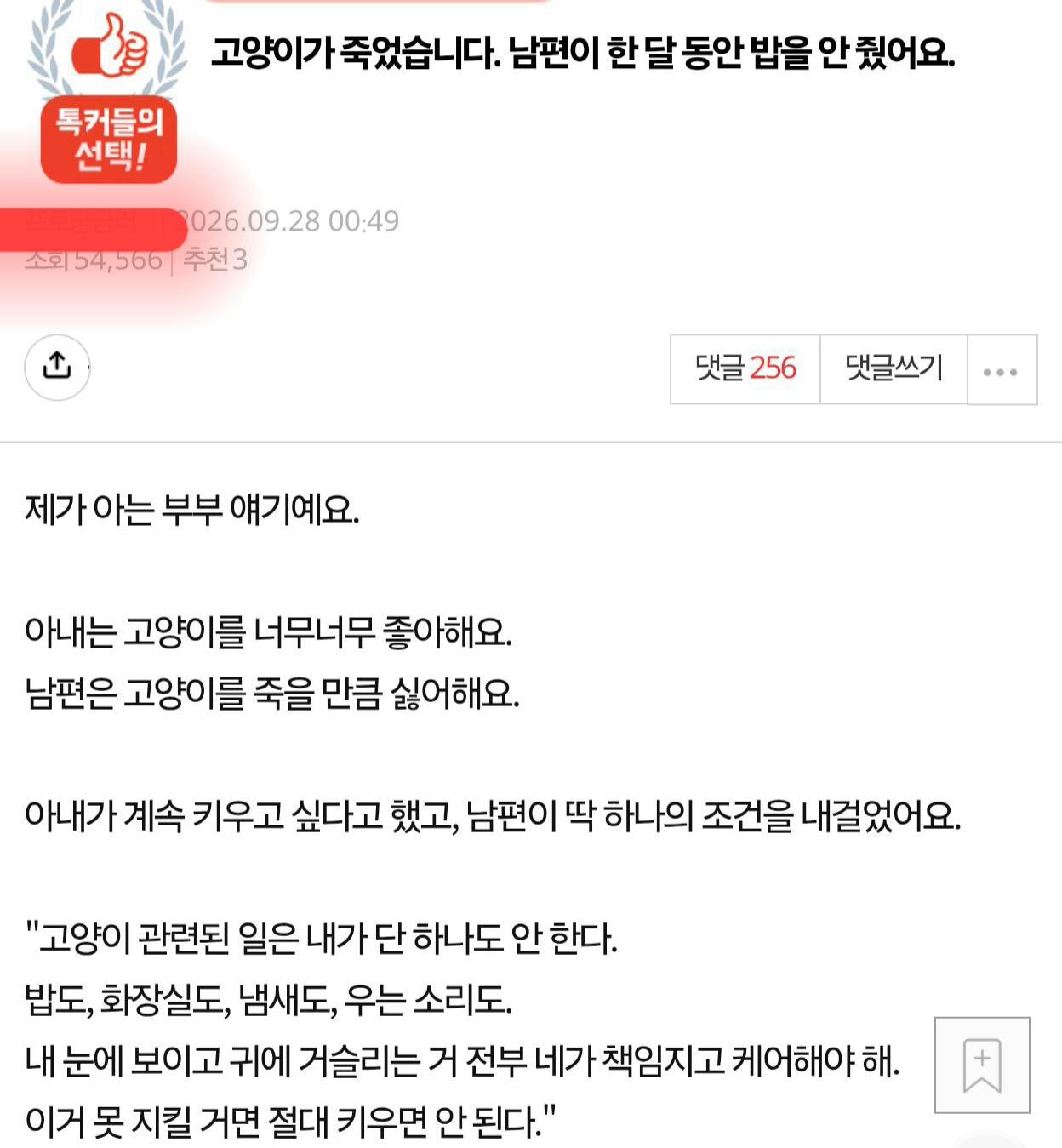 남편이 고양이를 굶겨 죽였어요!!!