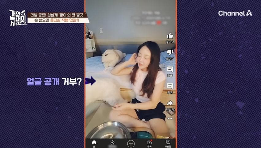 싱글벙글 반려견이 스트레스 받는데도 방송 촬영은 멈출 수 없다는 보호자 (7)