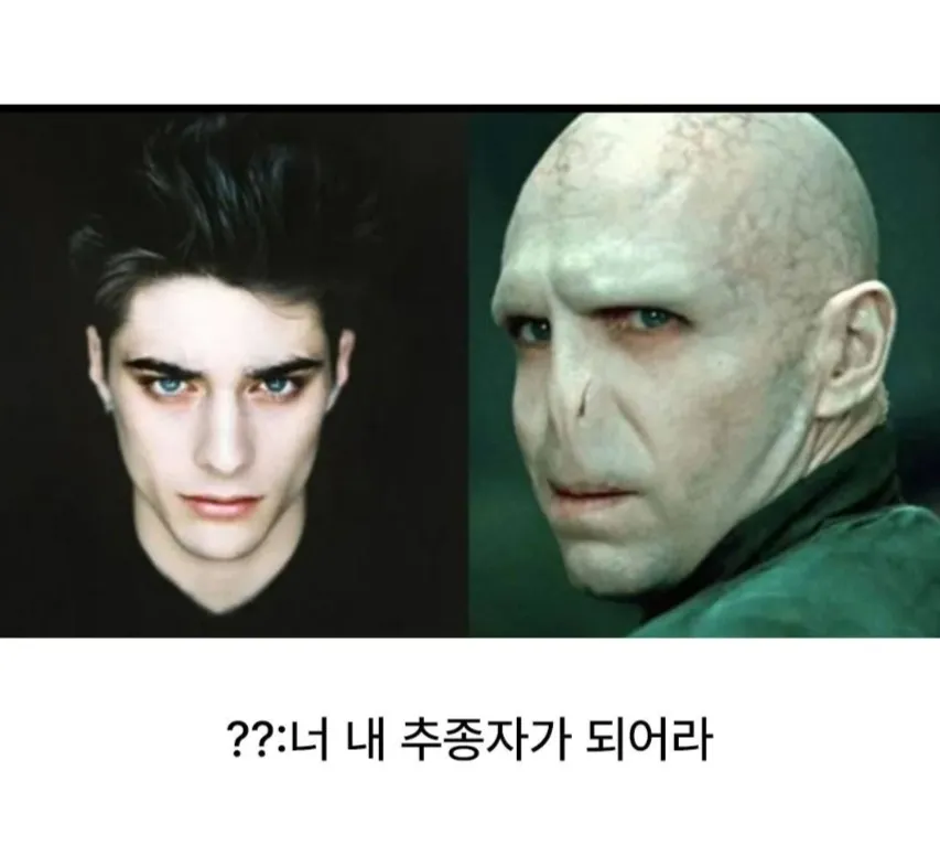 볼드모트가 영생해보겠다고 포기한 얼굴 (7)